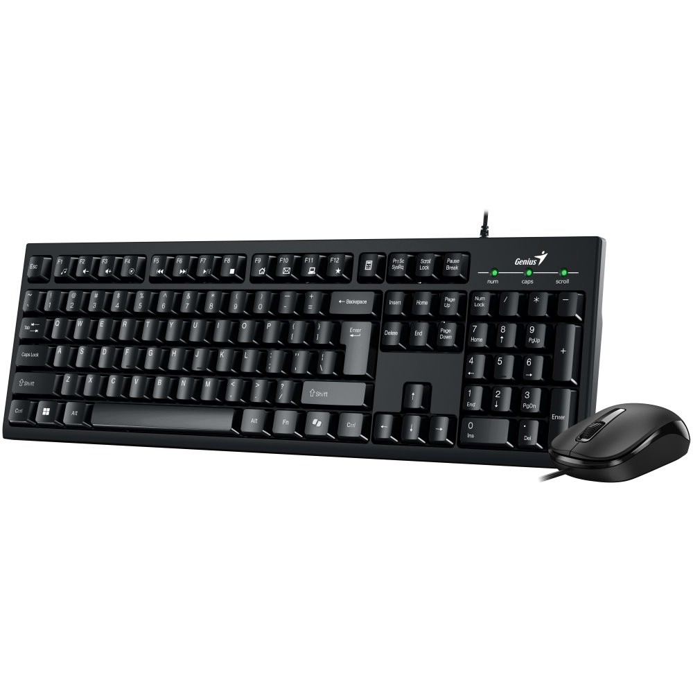 TEC+MOUSE GENIUS KM-100SE USB BLACK