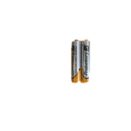 PILA ALCALINA AAA PB SHRINK X2 PROBATTERY
