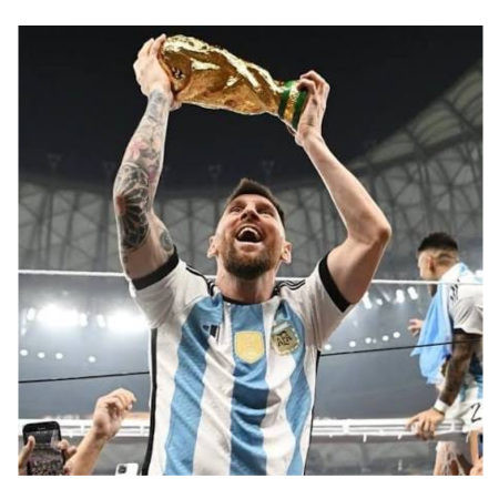 CUADRO PLACA MESSI / MARADONA 20x30